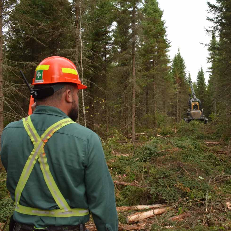eclaircie-commerciale-homme-foret-agir-agence-de-gestion-integree-des-ressources-normandin-lac-st-jean