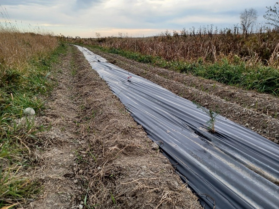 bandes-riveraines-agir